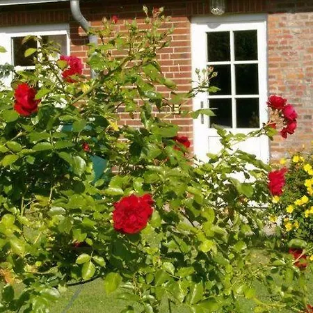 Der Lebensgarten Sommerwiese