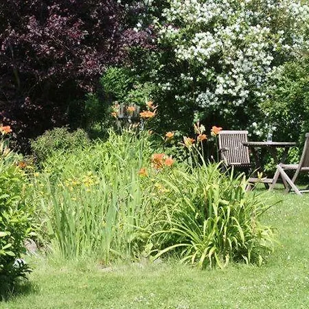 Der Lebensgarten Sommerwiese *